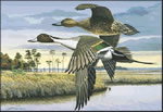 Sky Masters - Ducks Art Print by Les McDonald, Jr.